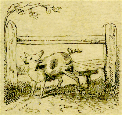 The Old Woman and her Pig