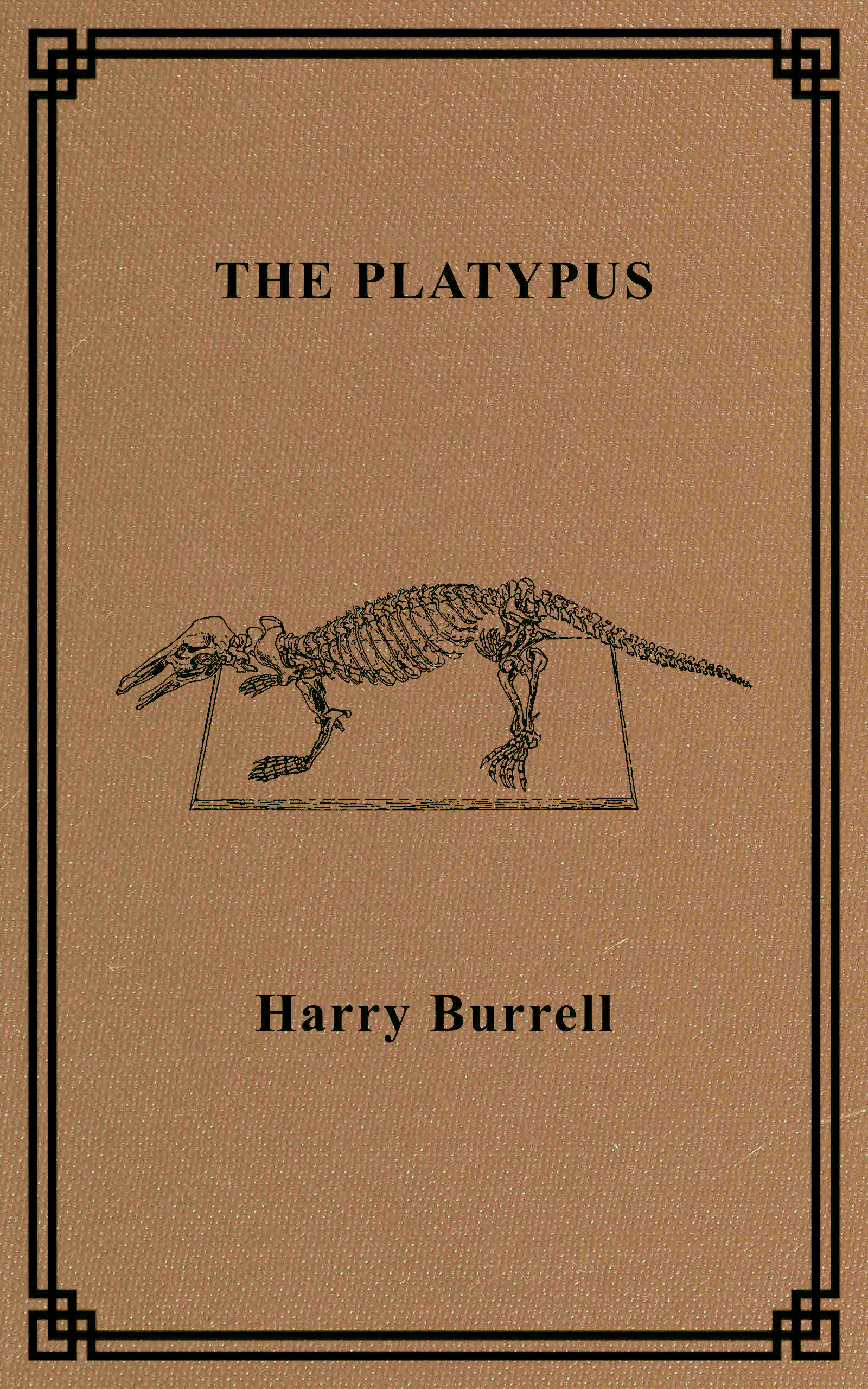 The platypus