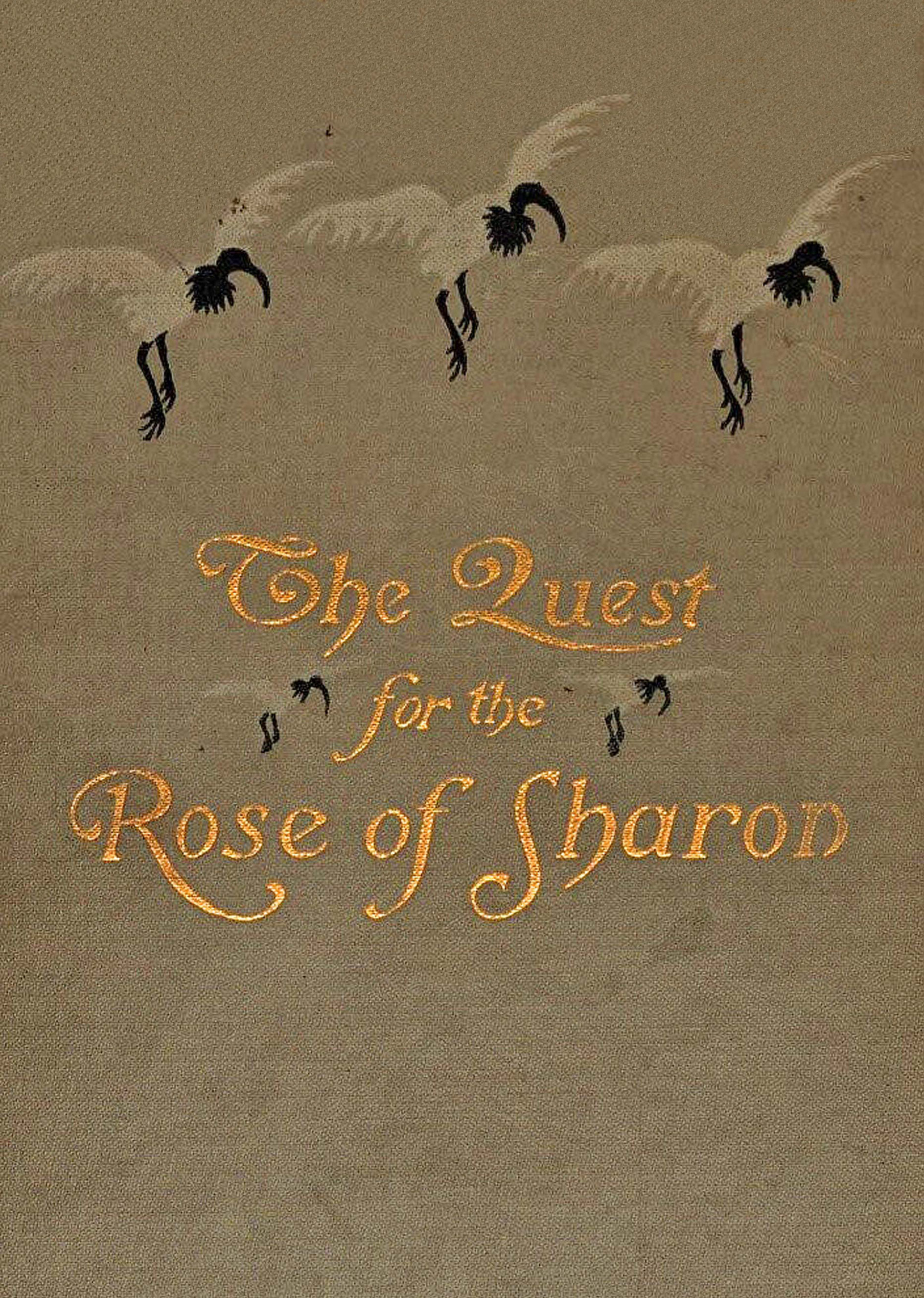 The Quest For the Rose of Sharon