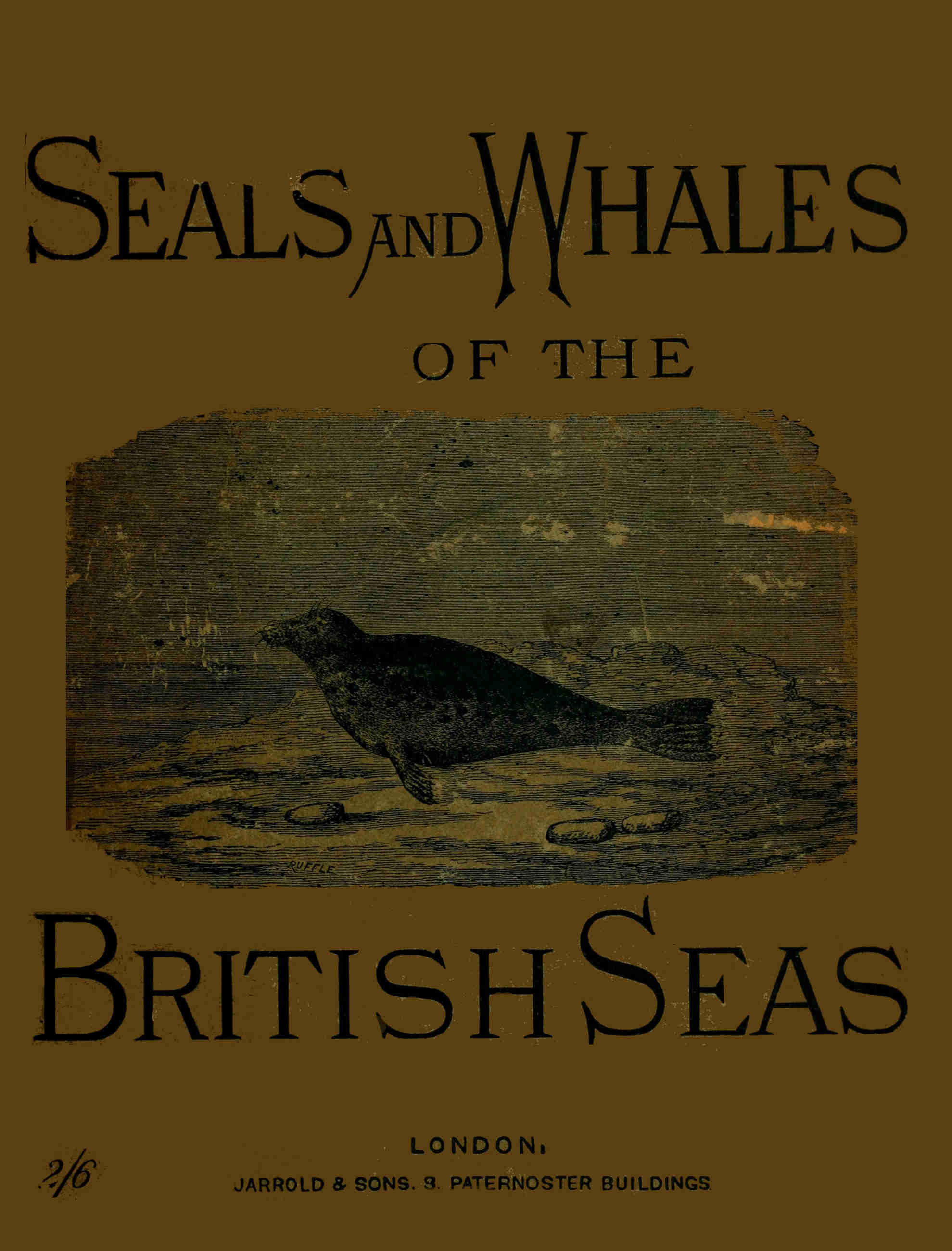 The Seals and Whales of the British Seas