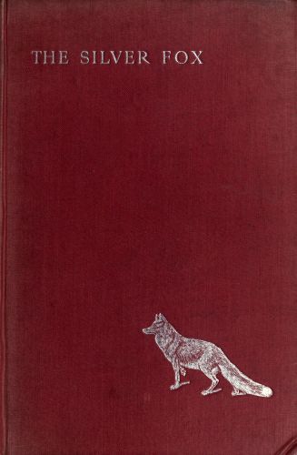 The Silver Fox