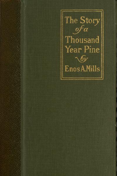 The Story of a Thousand-year Pine