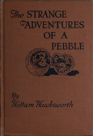 The Strange Adventures of a Pebble