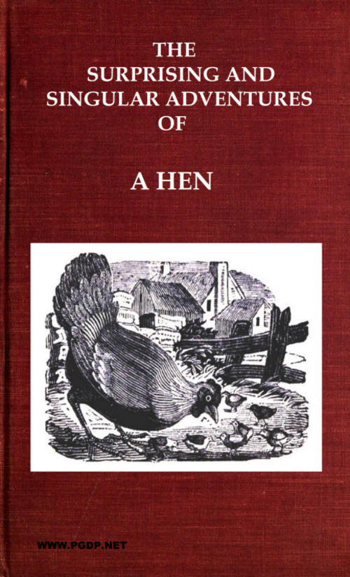 The Surprising and Singular Adventures of a A Hen
