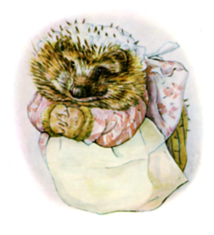 The Tale Of Mrs. Tiggy-winkle
