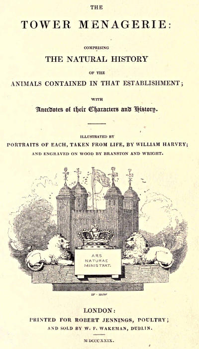 The Tower Menagerie