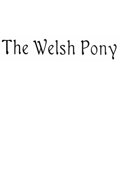 The Welsh Pony