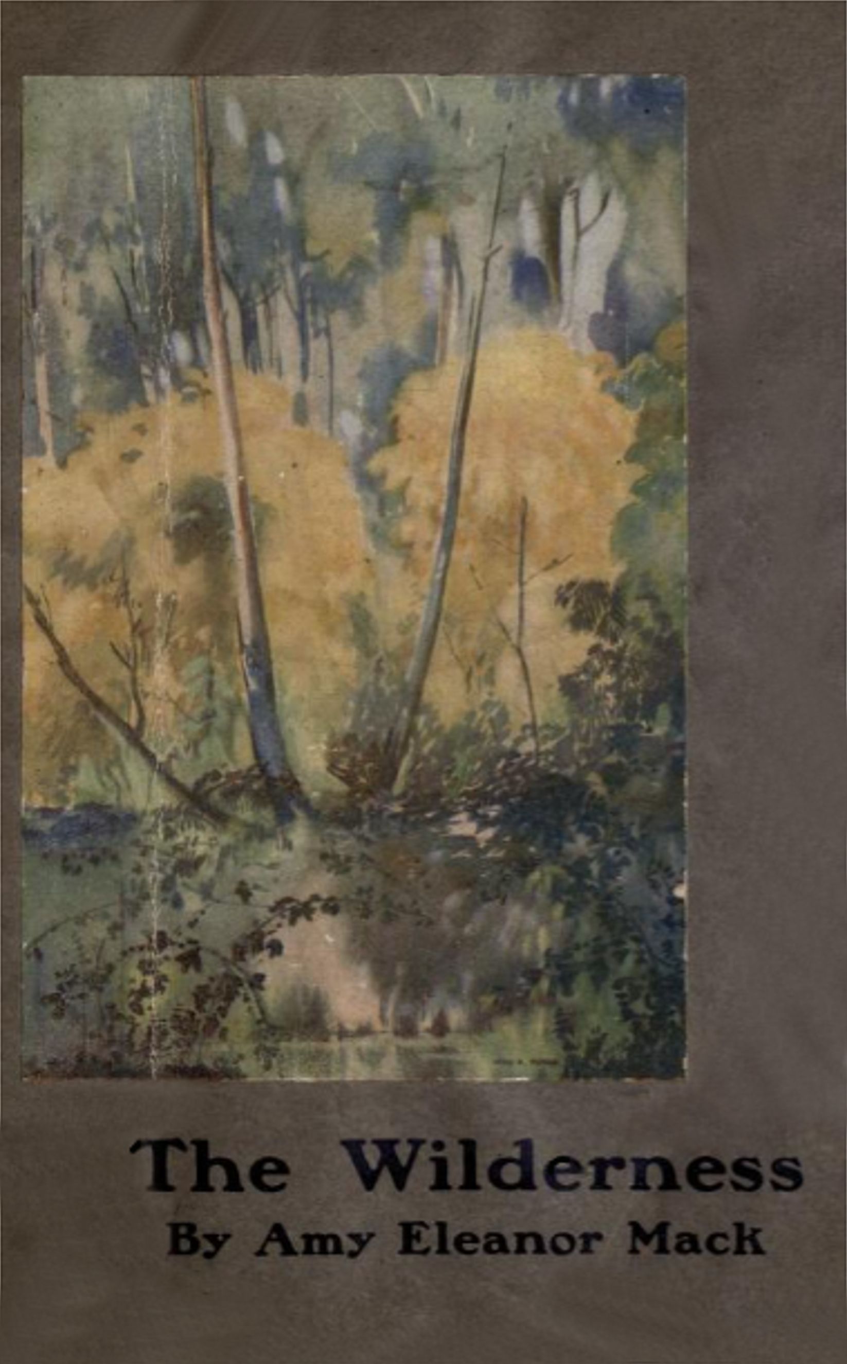The Wilderness