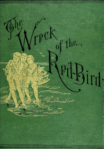 The Wreck Of The Red Bird