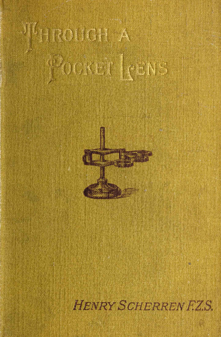 Through a Pocket Lens