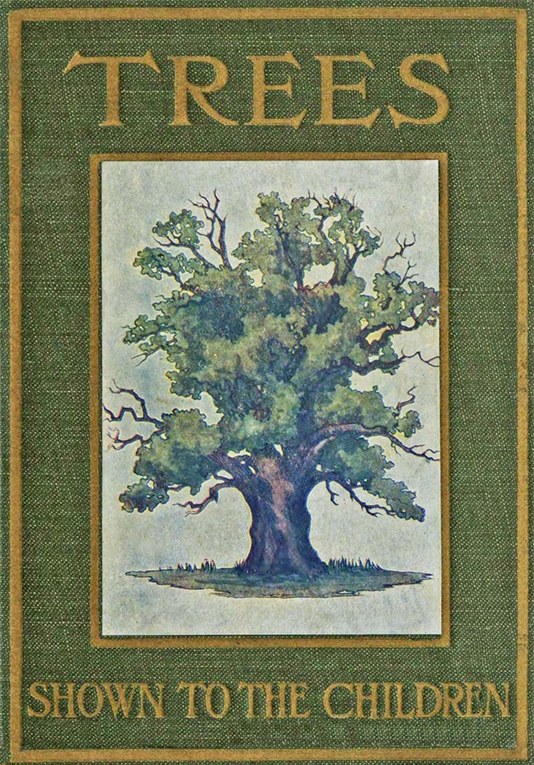 Trees Shown to the Children