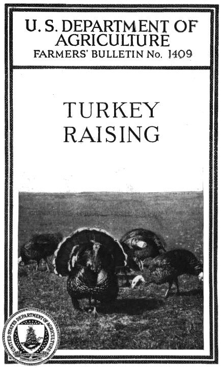 Turkey Raising
