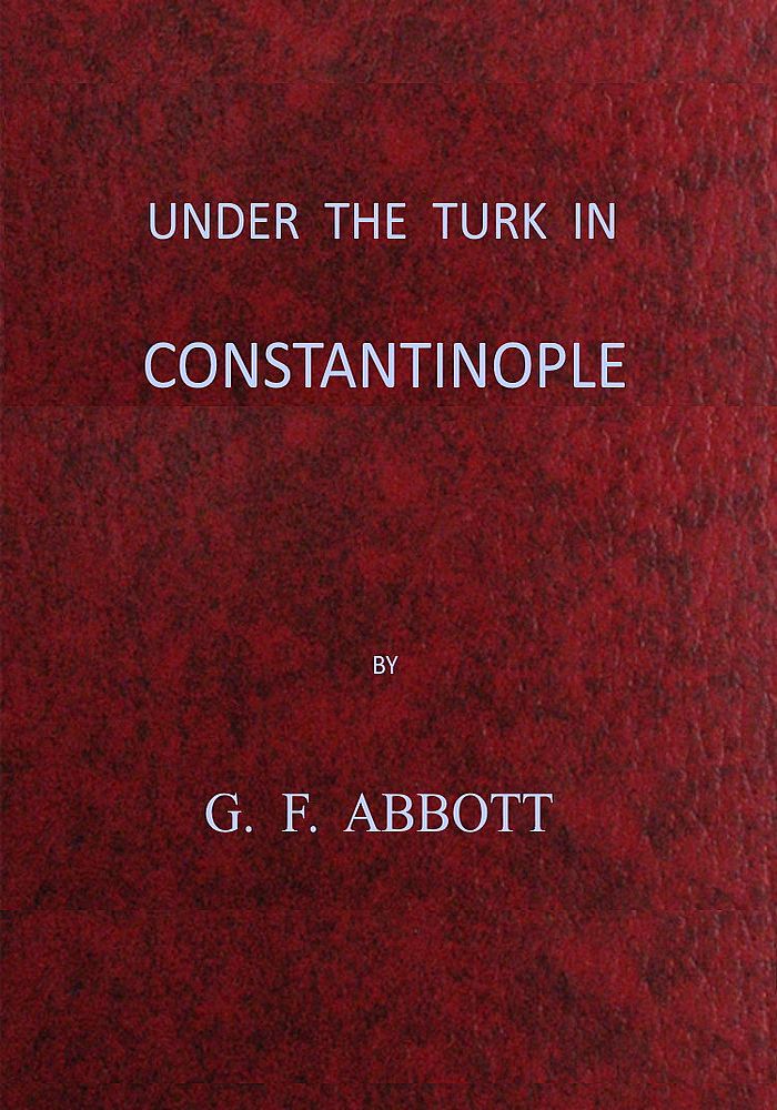 Under the Turk in Constantinople