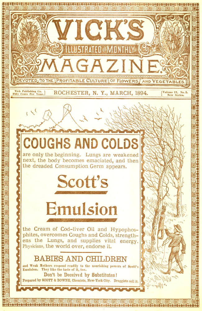 Vick’s Illustrated Monthly Magazine, Volume 17, No. 5