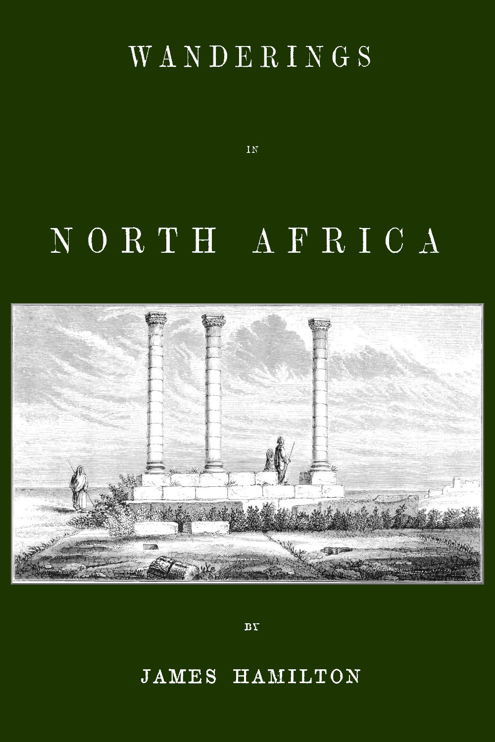 Wanderings in North Africa by James Hamilton