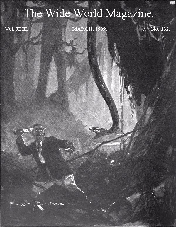 "Wide World - Vol. 22, No. 132 - Wide World Magazine"