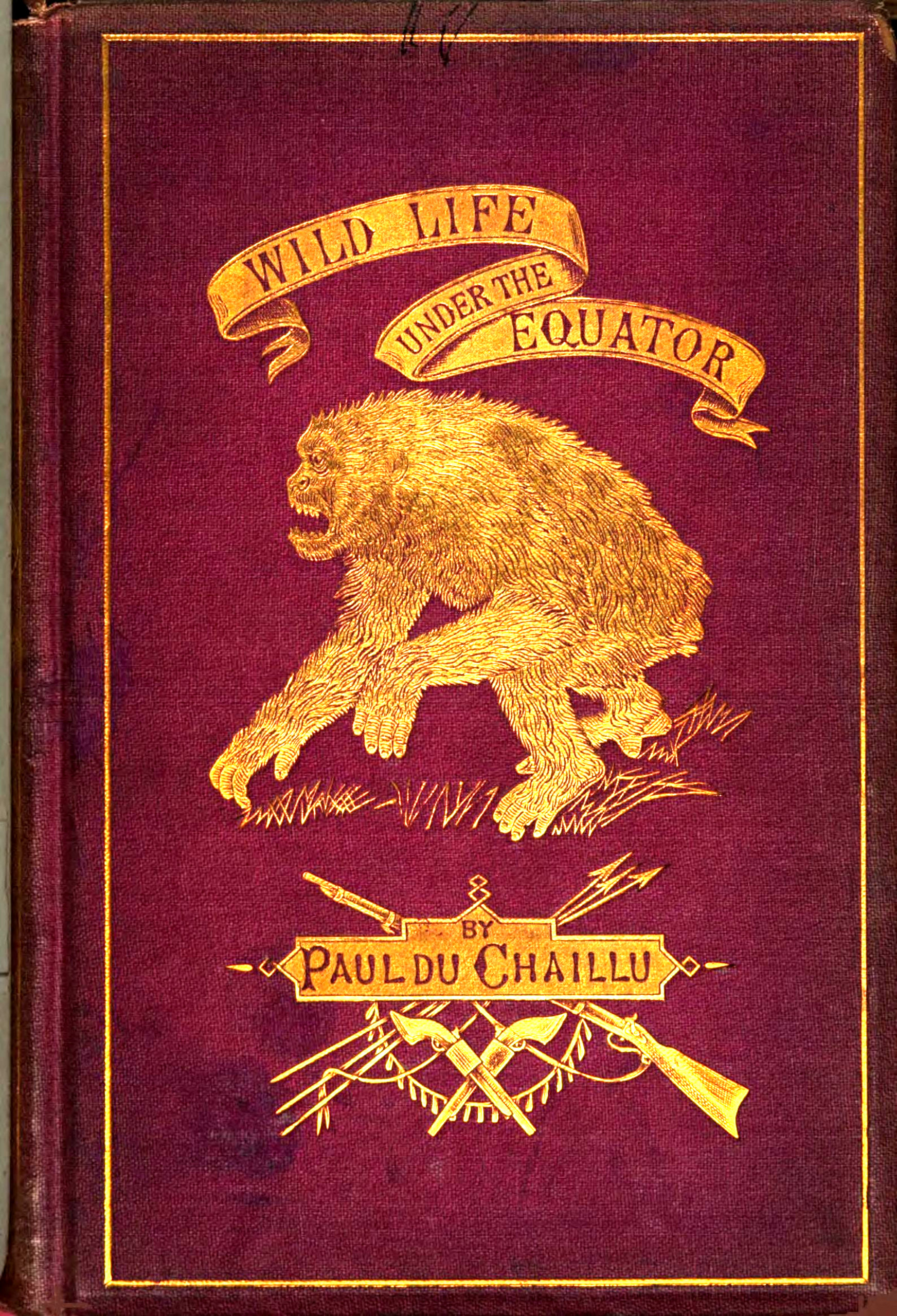 Wild Life Under the Equator
